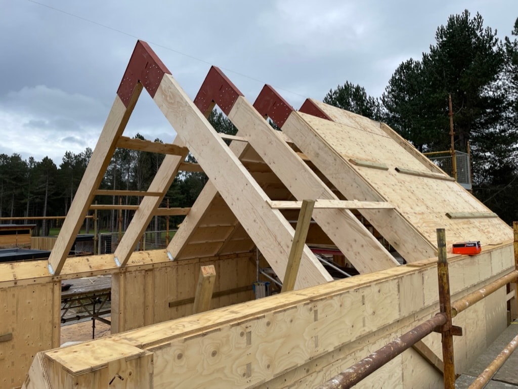 Large glue-laminated timber roof trusses being erected ontop of plywood-framed walls. Scots Pines trees behind.